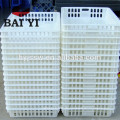 Plastic poultry transport crate for chicken farm